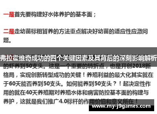 弗拉霍维奇成功的四个关键因素及其背后的深刻影响解析