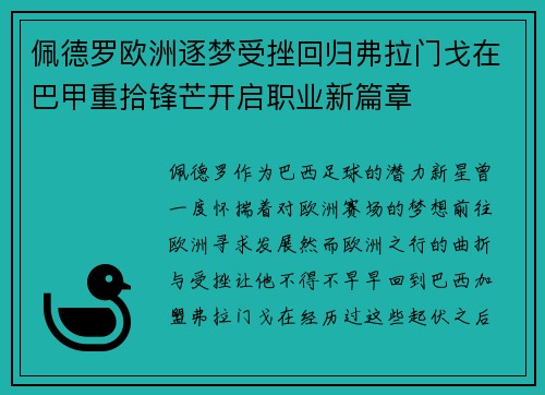 佩德罗欧洲逐梦受挫回归弗拉门戈在巴甲重拾锋芒开启职业新篇章